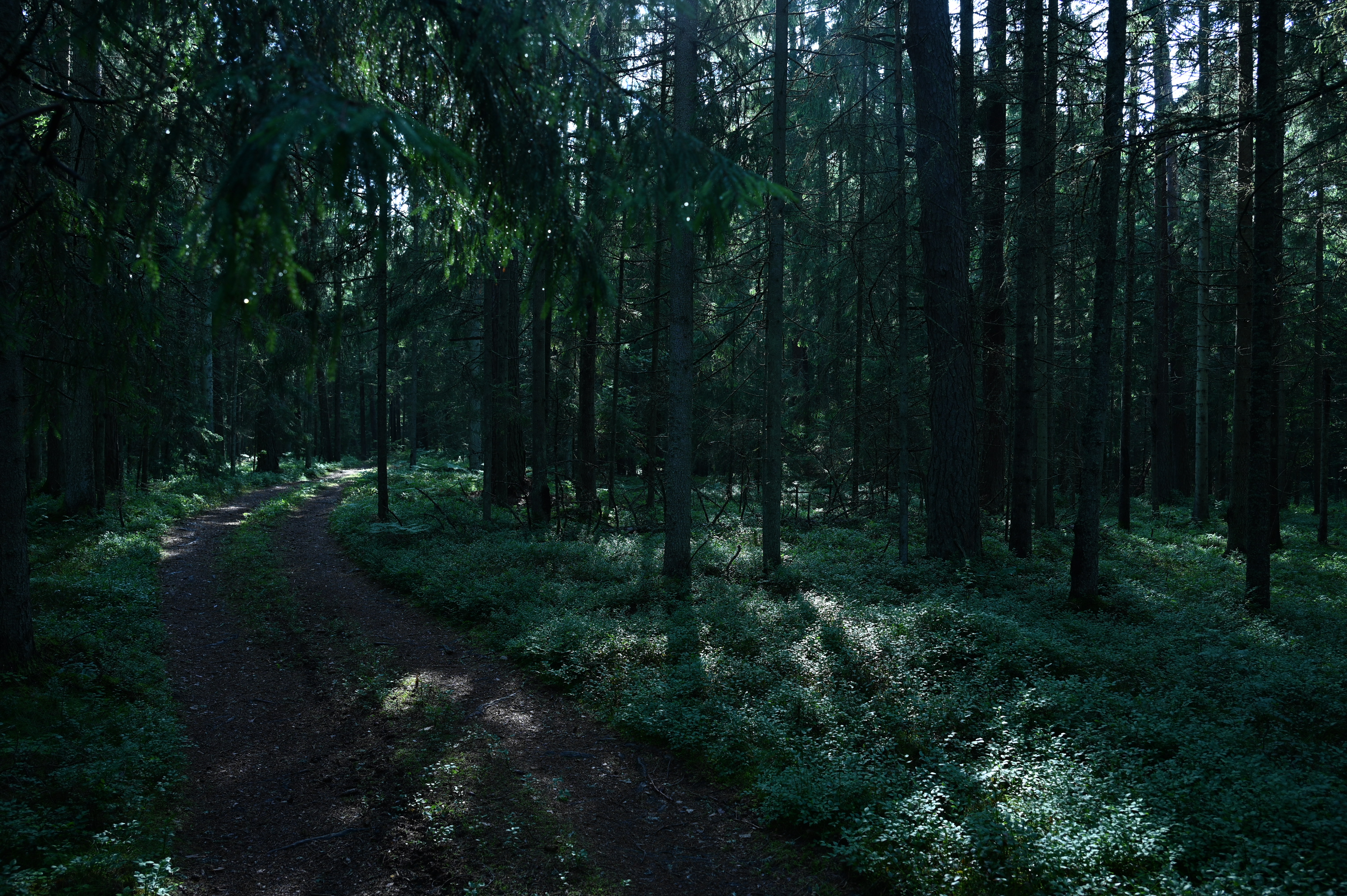 2025/07/09-14 - trip/DSC_0274.JPG